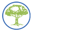 Chiropractic Redmond WA Redmond Roots Chiropractic